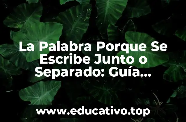 La Palabra Porque Se Escribe Junto o Separado: Guía Completa