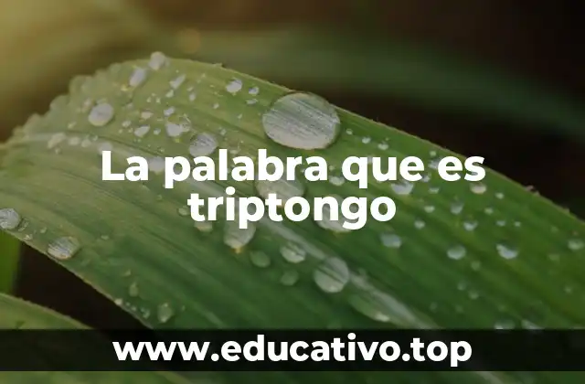 La estructura de las sílabas en el español