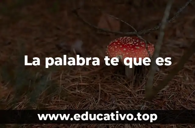 La palabra te que es