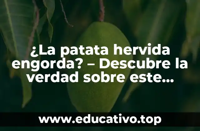 ¿La patata hervida engorda? – Descubre la verdad sobre este alimento básico
