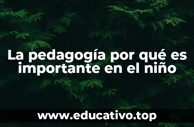 La pedagogía por qué es importante en el niño