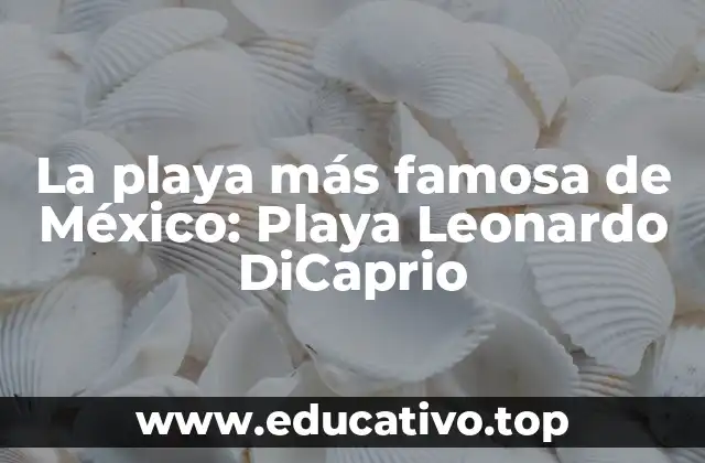 La playa más famosa de México: Playa Leonardo DiCaprio