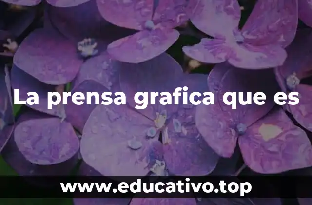 La prensa grafica que es