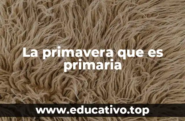 La primavera que es primaria