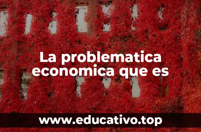 La problematica economica que es