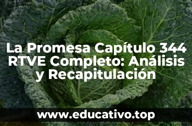 La Promesa Capítulo 344 RTVE Completo: Análisis y Recapitulación