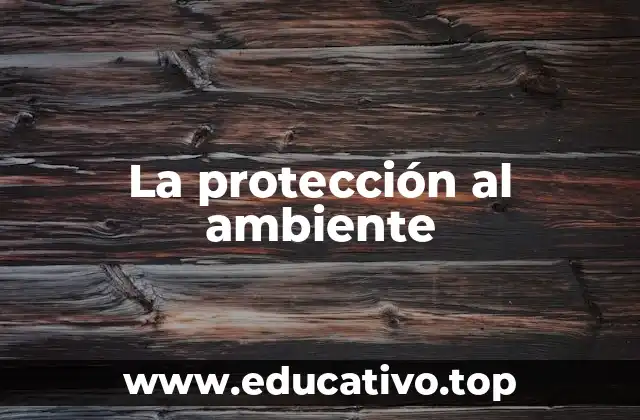 La protección al ambiente