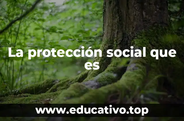 La protección social que es