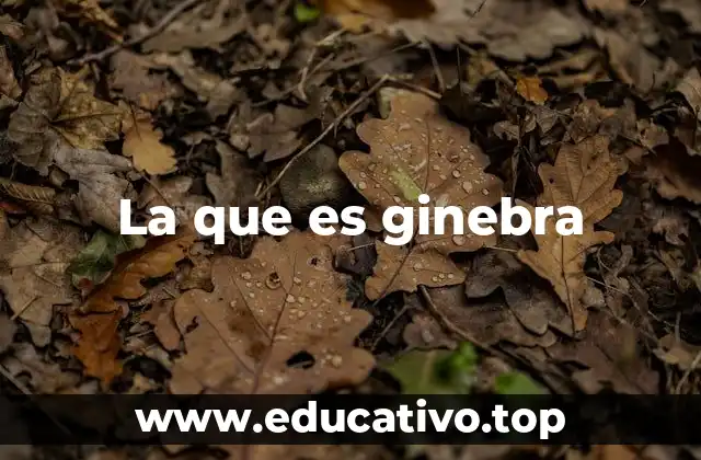 La que es ginebra