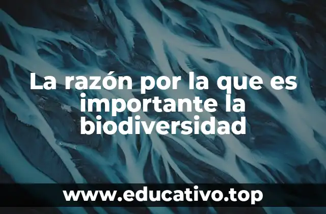 La razón por la que es importante la biodiversidad