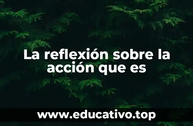 La reflexión sobre la acción que es
