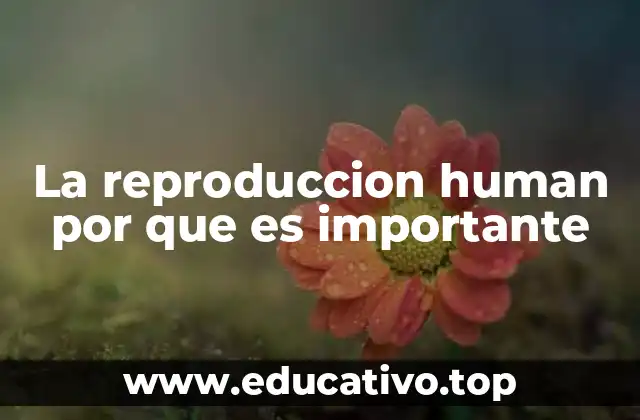 La reproduccion human por que es importante
