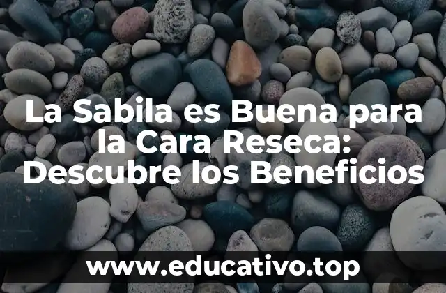 La Sabila es Buena para la Cara Reseca: Descubre los Beneficios