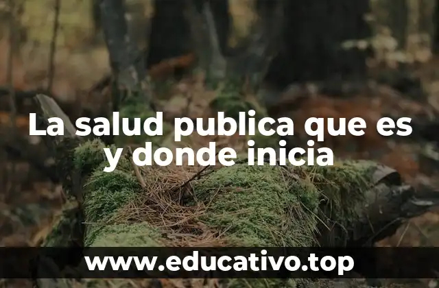 La salud publica que es y donde inicia