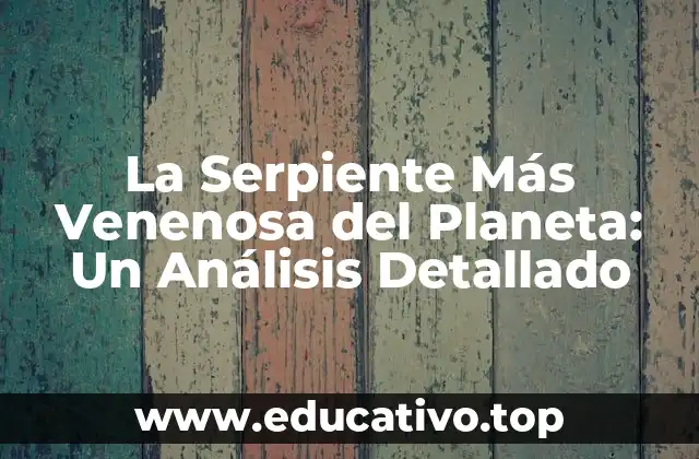 La Serpiente Más Venenosa del Planeta: Un Análisis Detallado