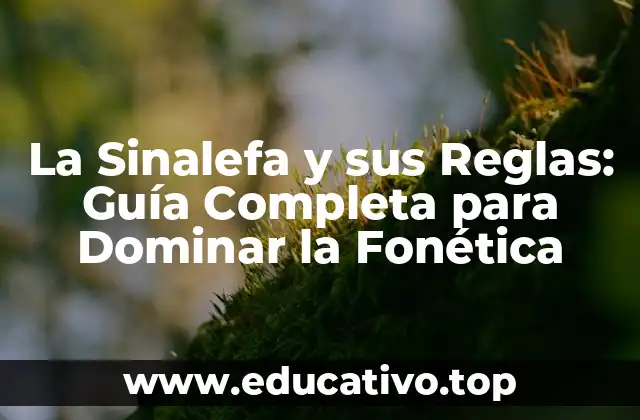 La Sinalefa y sus Reglas: Guía Completa para Dominar la Fonética