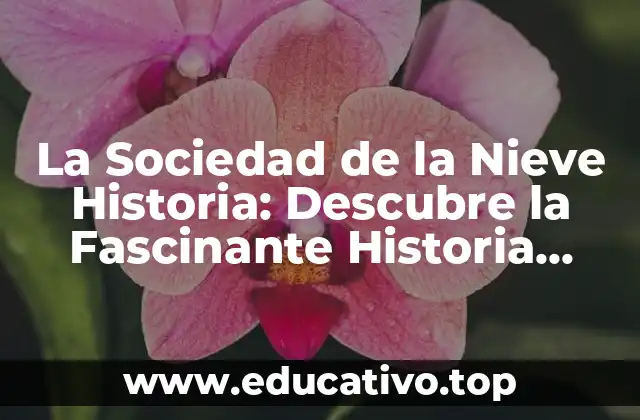 La Sociedad de la Nieve Historia: Descubre la Fascinante Historia Detrás de la Sociedad Secreta