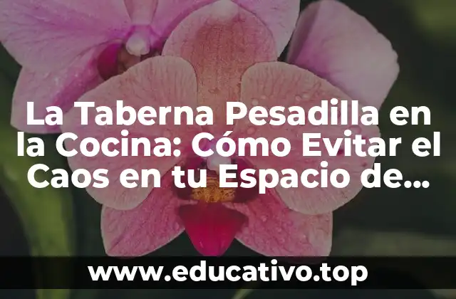 La Taberna Pesadilla en la Cocina: Cómo Evitar el Caos en tu Espacio de Cocina