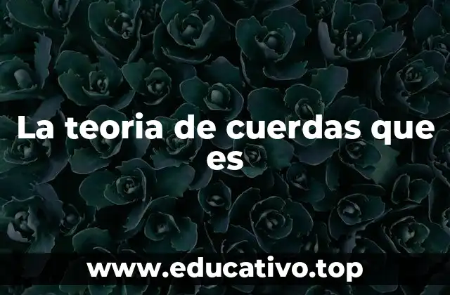 La teoria de cuerdas que es