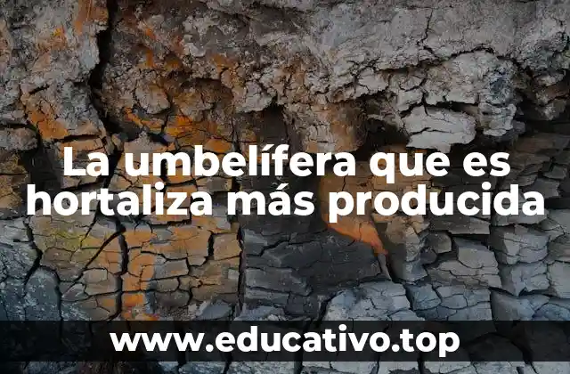 La hortaliza de raíz que lidera las estadísticas agrícolas