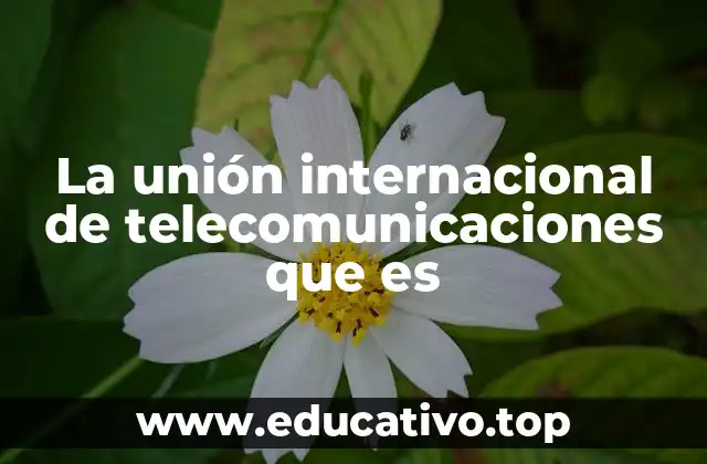 La unión internacional de telecomunicaciones que es