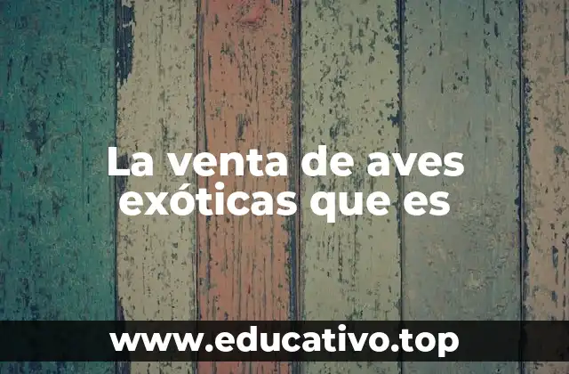La venta de aves exóticas que es