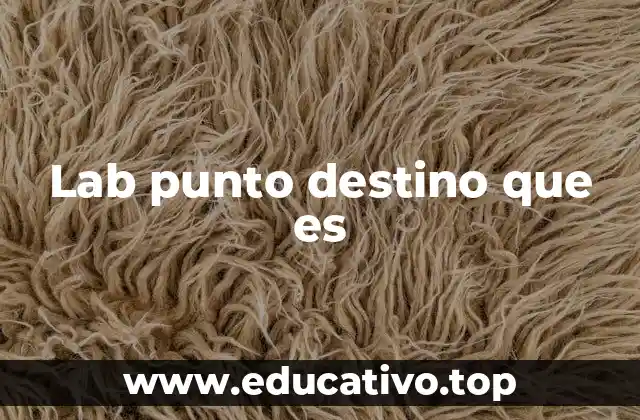 Lab punto destino que es
