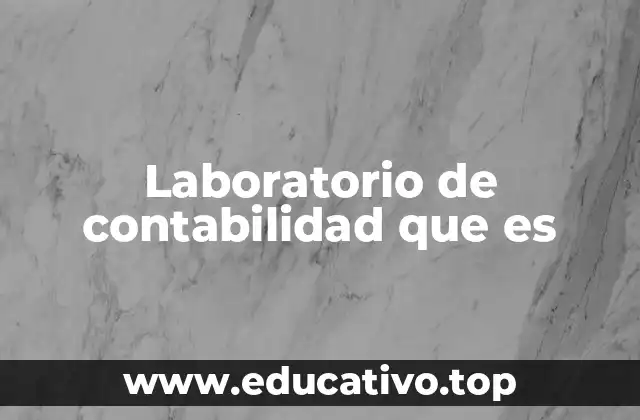 Laboratorio de contabilidad que es
