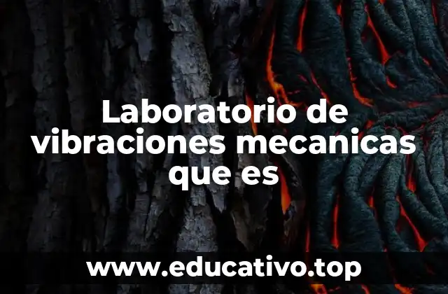 Laboratorio de vibraciones mecanicas que es