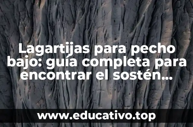 Lagartijas para pecho bajo: guía completa para encontrar el sostén perfecto