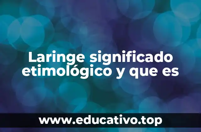 La laringe en el contexto del sistema respiratorio humano