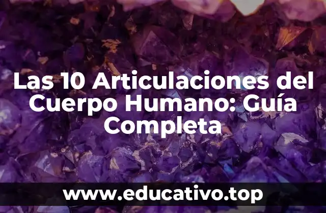 Las 10 Articulaciones del Cuerpo Humano: Guía Completa