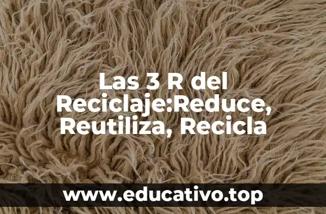 Las 3 R del Reciclaje:Reduce, Reutiliza, Recicla