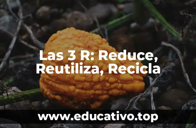 Las 3 R: Reduce, Reutiliza, Recicla