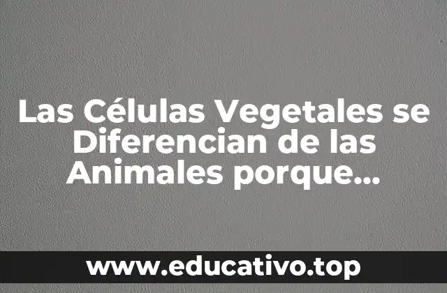 Las Células Vegetales se Diferencian de las Animales porque Poseen
