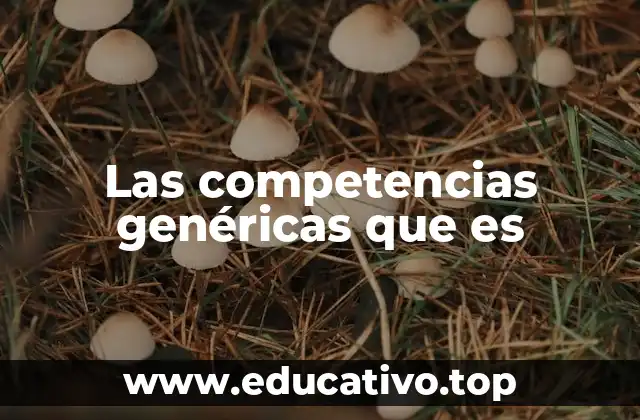 Las competencias genéricas que es
