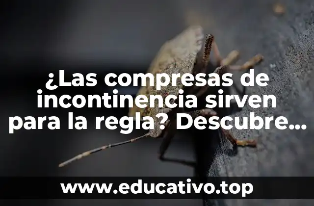 ¿Las compresas de incontinencia sirven para la regla? Descubre la verdad