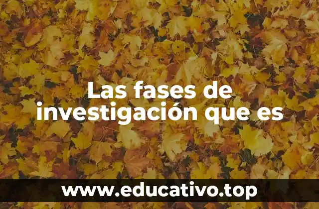 Las fases de investigación que es