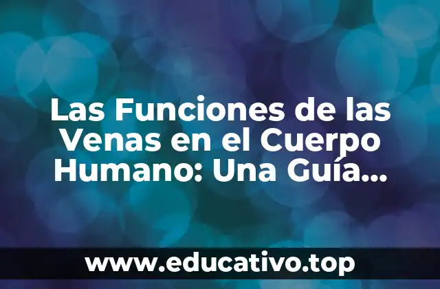 Las Funciones de las Venas en el Cuerpo Humano: Una Guía Completa