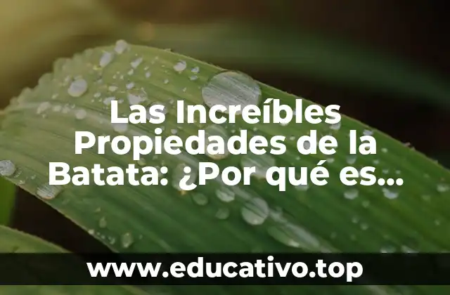 Las Increíbles Propiedades de la Batata: ¿Por qué es Buena para Ti?