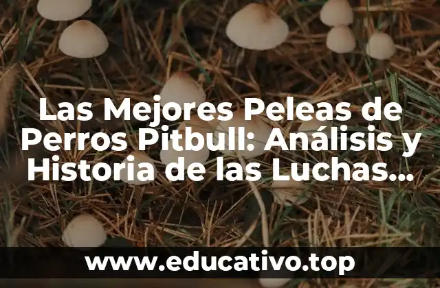 Las Mejores Peleas de Perros Pitbull: Análisis y Historia de las Luchas Caninas más Famosas
