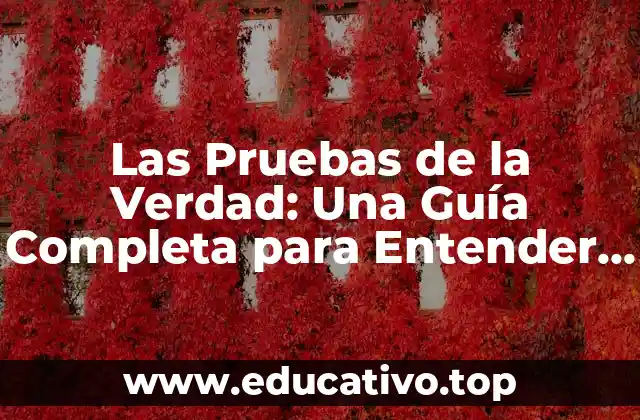 Las Pruebas de la Verdad: Una Guía Completa para Entender la Veracidad