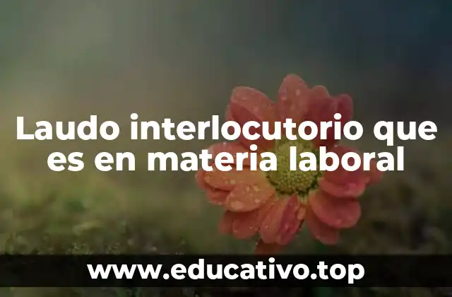 Laudo interlocutorio que es en materia laboral