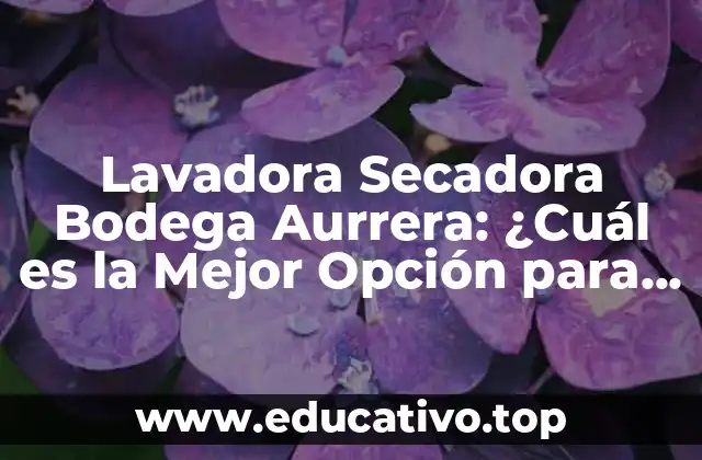 Lavadora Secadora Bodega Aurrera: ¿Cuál es la Mejor Opción para Tu Hogar?