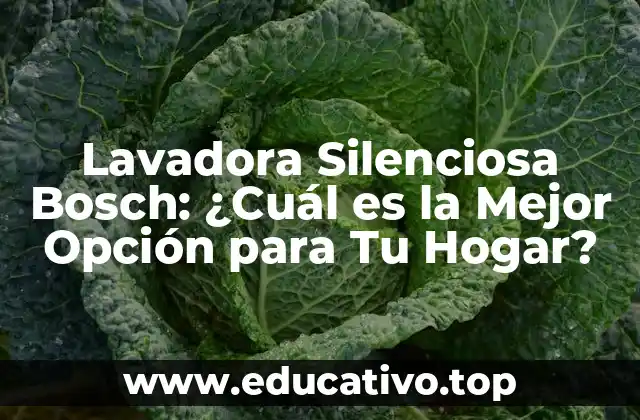 Lavadora Silenciosa Bosch: ¿Cuál es la Mejor Opción para Tu Hogar?