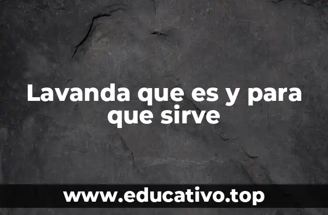 Lavanda que es y para que sirve