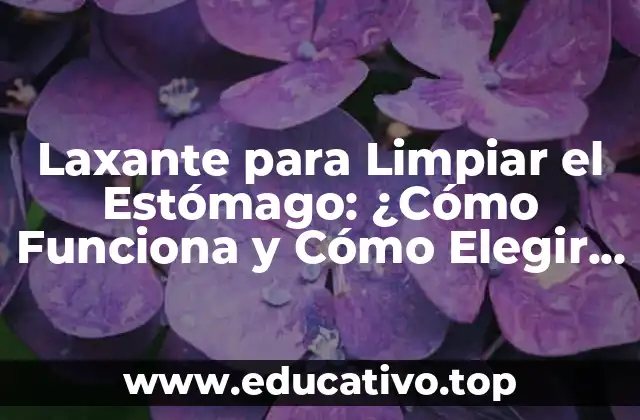 Laxante para Limpiar el Estómago: ¿Cómo Funciona y Cómo Elegir el Mejor?