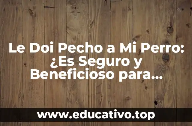 Le Doi Pecho a Mi Perro: ¿Es Seguro y Beneficioso para Ambos?