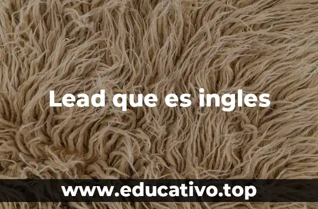 Lead que es ingles