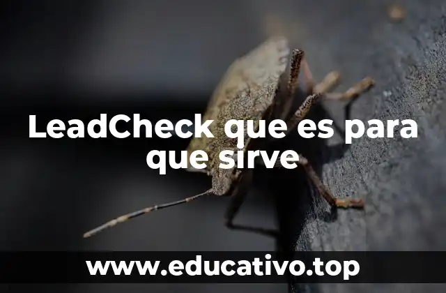 LeadCheck que es para que sirve